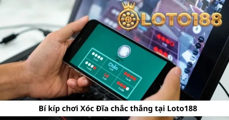 Bí kíp chơi Xóc Đĩa chắc thắng tại Loto188