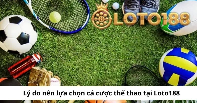 Lý do nên chọn tham gia cá cược tại nhà cái